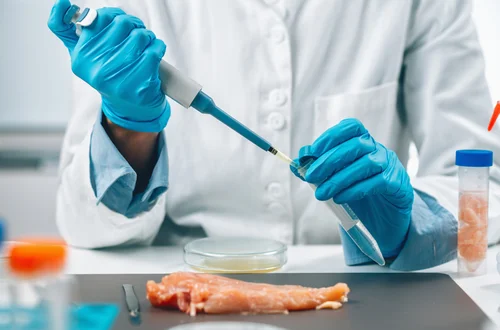 Salmonella w polędwiczkach z kurczaka jogurt-morela: co musisz wiedzieć, by chronić rodzinę