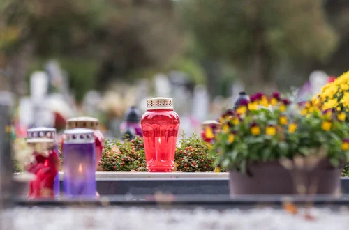 Znicze wokół chryzantem? Nie tylko dla ozdoby – to ma sens!