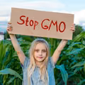 Międzynarodowy Dzień Opozycji Przeciw GMO: Refleksja nad przyszłością żywności