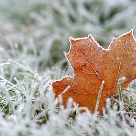 Zima wraca do Polski? Znamy datę nagłego ochłodzenia!