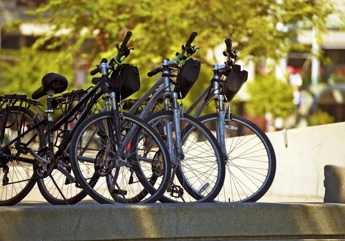 Światowy Dzień Roweru: Promocja Zdrowia i Zrównoważonego Transportu