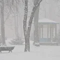 PILNE: Alarm pogodowy! Spadnie nawet do 10 cm śniegu!