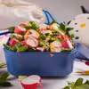 Lunchbox dla najmłodszych