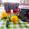 Przepis na syrop z mniszka lekarskiego, czyli „miód z mleczy”