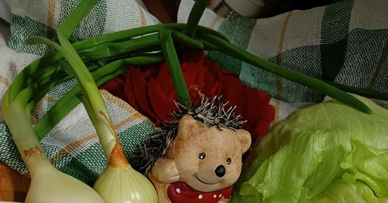 Kuchnia domowa Agi - blog kulinarny