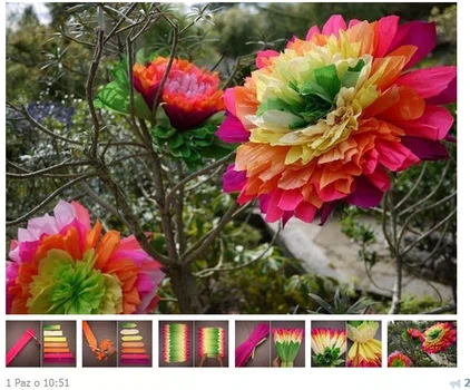 Piękne kwiaty z bibuły