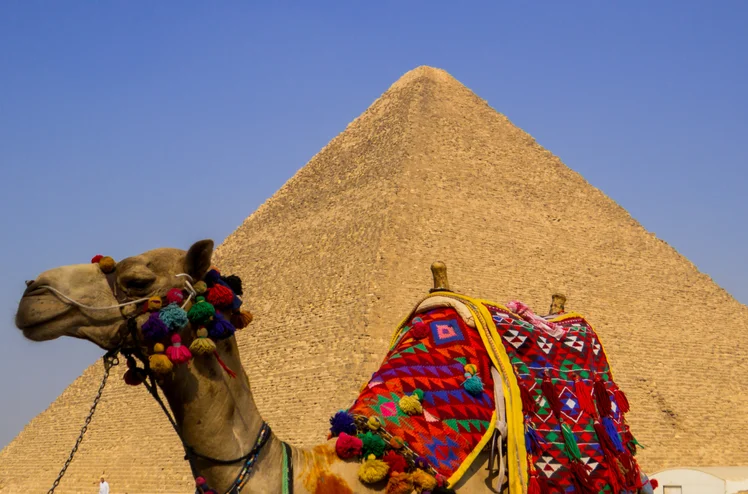 Zdjęcie Egipt bez tajemnic! 10 rzeczy, które musisz wiedzieć zanim tam pojedziesz! #1