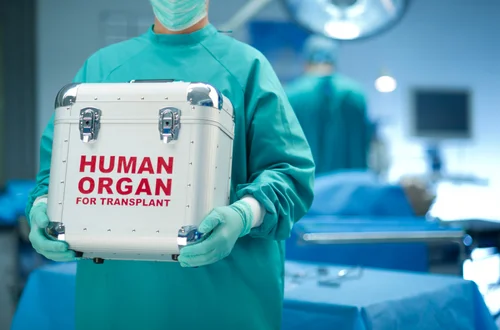 Światowy Dzień Donacji i Transplantacji: Dlaczego To Jest Ważne
