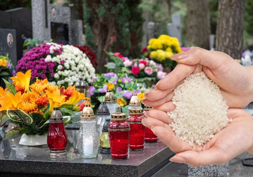 Wsyp to na dno doniczki, a kwiaty przetrwają nawet przymrozki! Babcin trik, który działa do dziś!