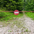 Wjedziesz do lasu - zostaniesz ukarany grzywną. Ile wynosi mandat?