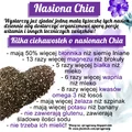 CHIA - czyli SZAŁWIA HISZPAŃSKA - Maleńkie ziarenka dla zdrowia i urody!