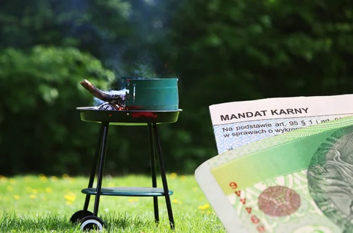 Ostrzeżenie dla grillujących 2025! Nowe przepisy, surowsze kontrole – mandat nawet 5000 zł!