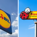 Lidl czy Biedronka? Gdzie jest taniej! Paragony prawdy!