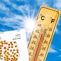 Nadciągają ekstremalne upały! Polskę czeka szok temperaturowy! Znamy datę