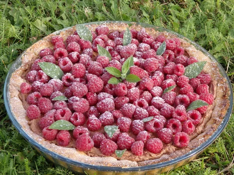 Tarta z malinami
