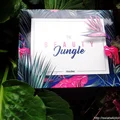 ShinyBox The Beauty Jungle sierpień 2017