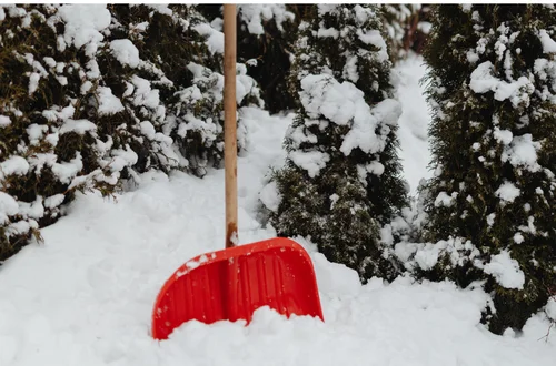 Świętujmy razem Światowy Dzień Śniegu - Jak śnieg wpływa na nasze życie?