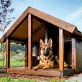 Drewniana buda dla psa do ogrodu