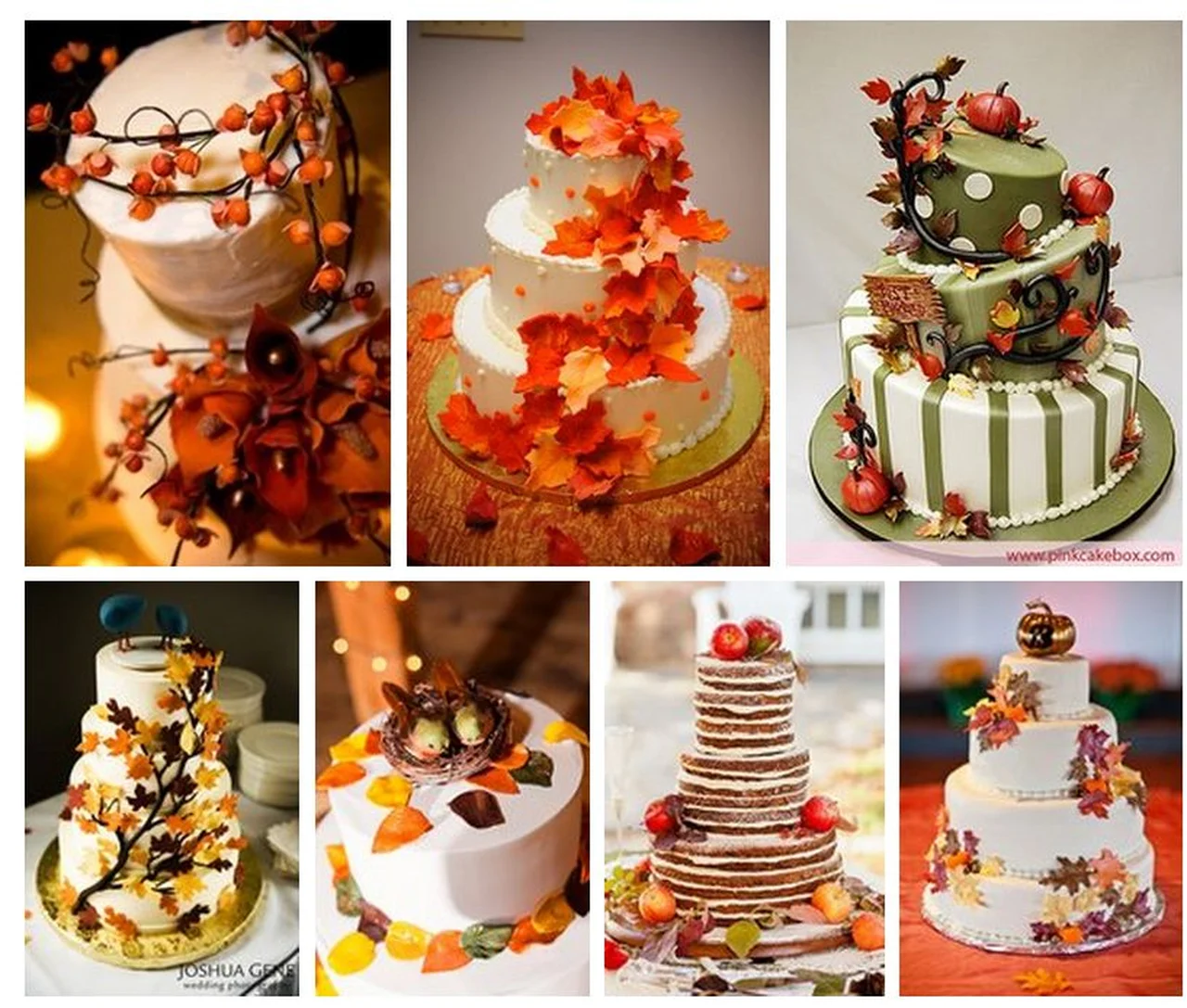 Jesienne torty - inspiracje