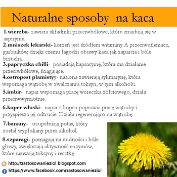 Naturalne sposoby na zwalczanie kaca