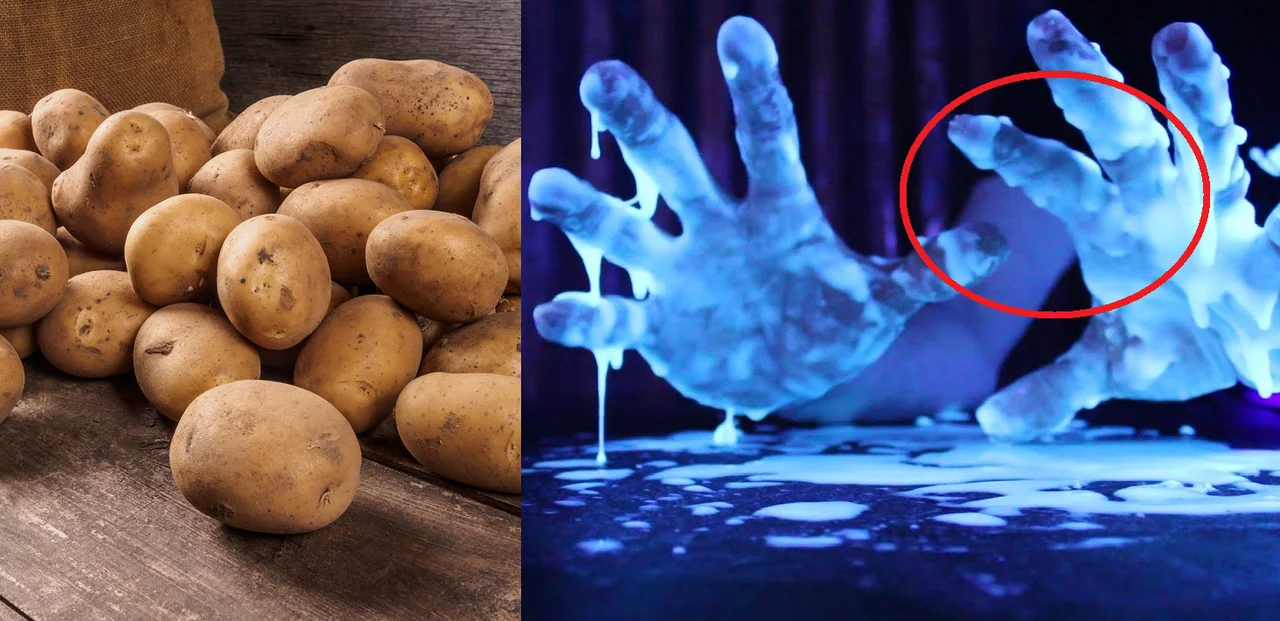 Zobacz, co możesz zrobić ze zwykłych ziemniaków! Świetna zabawa dla całej rodziny