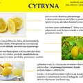 Cytryna i jej właściwości