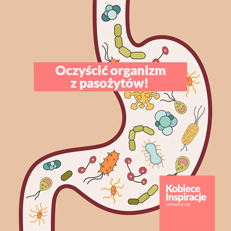 Wystarczą dwa składniki, aby oczyścić organizm z pasożytów!