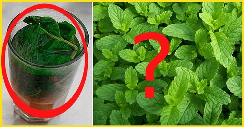 Ten napój sprawi, że twoja wątroba się oczyści i zacznie szybciej metabolizować tłuszcz