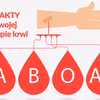 4 fakty o twojej grupie krwi. Nie masz pojęcia, co o tobie mówi!