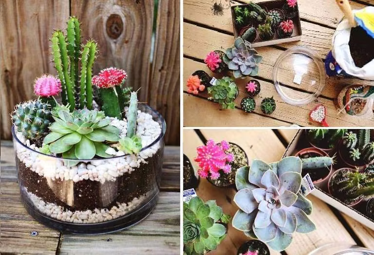 Pomysł na mini skalniak