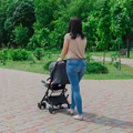 Ponad 3,5 mln wniosków o 800+. Jakie są terminy, zasady i zmiany dla rodziców oraz cudzoziemców