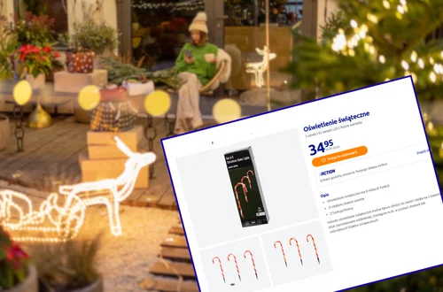Te urocze lampki z Action za 35 zł będą hitem Świąt! Cukrowe laseczki bosko oświetlą ogród i zrobią klimat jak z Laponii