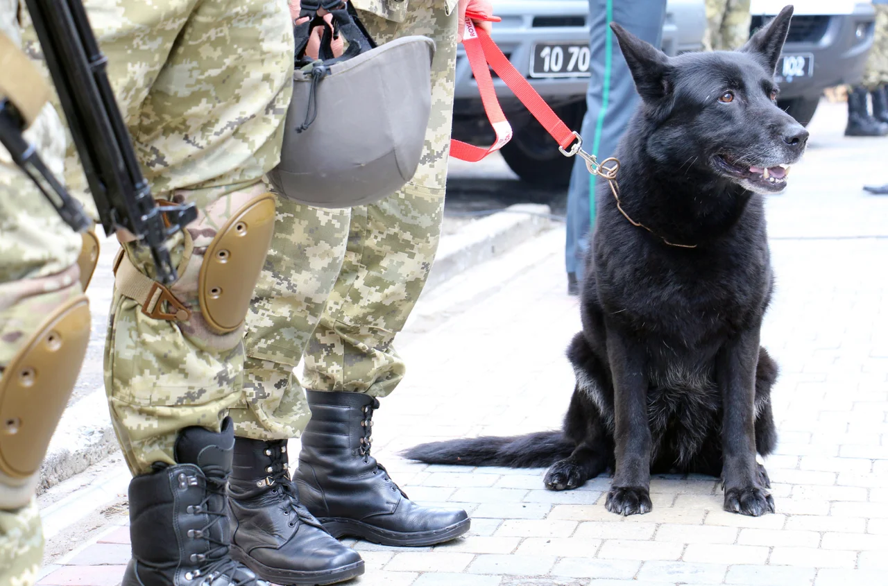 Dzień Służby Celnej: Historia, Wyzwania i Przyszłość