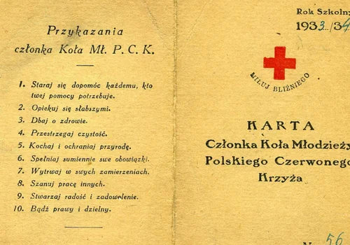 Dzień Młodzieży PCK: Młodzi, którzy zmieniają świat