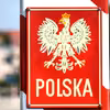 Były prezydent Ukrainy zatrzymany przez ukraińskie służby na granicy z Polską!
