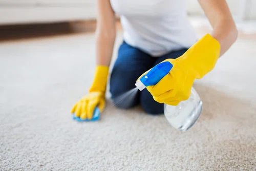 Jak usunąć zapach moczu z dywanu?