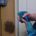 Każdy ma w domu ten produkty, ale nie każdy wie, że doskonale zwalcza on pleśń!