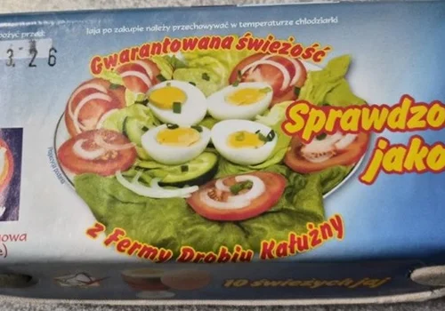 Groźna Salmonella na skorupkach jaj – pełny poradnik, jak chronić siebie i rodzinę