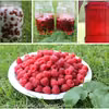 Domowy sok z malin (bez gotowania)