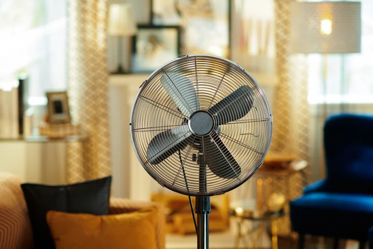 Zdjęcie Jak ochłodzić mieszkanie bez klimatyzacji? 7 skutecznych sposobów! #3