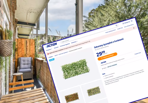 Ten żywopłot z kwiatami z Action za 29 zł bosko odmieni balkon! Zero podlewania, montaż w kilka minut - zielona oaza przez cały rok