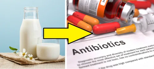 Łączenie antybiotyków z mlekiem może być niebezpieczne. Poznaj szczegóły