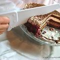 Tort "Czarny Las"