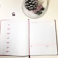 Bullet journal styczeń 2018