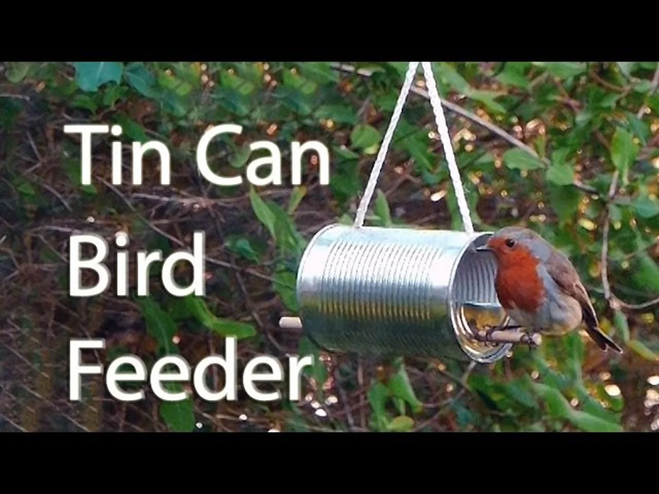 Karmnik dla ptaszków z puszki 