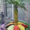 Owocowa palma