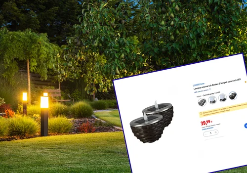 Te lampki solarne z Lidla za 39,99 zł to hit do ogrodu, ale też na Wszystkich Świętych! 8 godzin świecenia, migający płomień i nowoczesny look