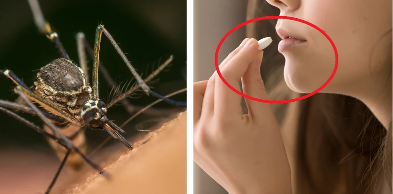 Komary dadzą ci spokój, jeśli zażyjesz tę witaminę!