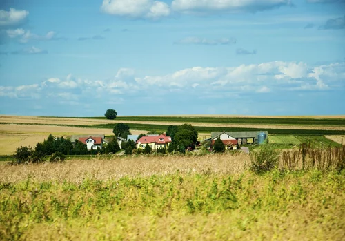 Przerażająca historia kobiety więzionej przez 4 lata: Co wydarzyło się w Gaikach?