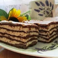 Ciasto Spartak-kakaowy przekładaniec z kremem